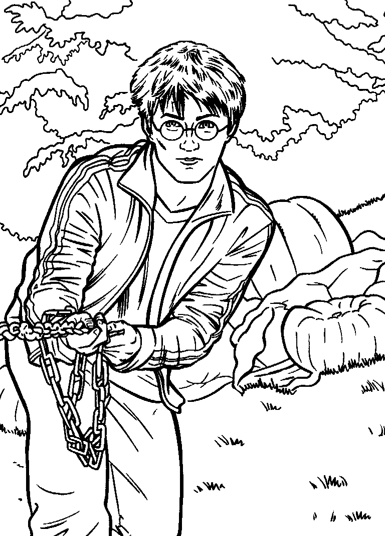 Plansa de colorat cu Harry Potter 128 33
